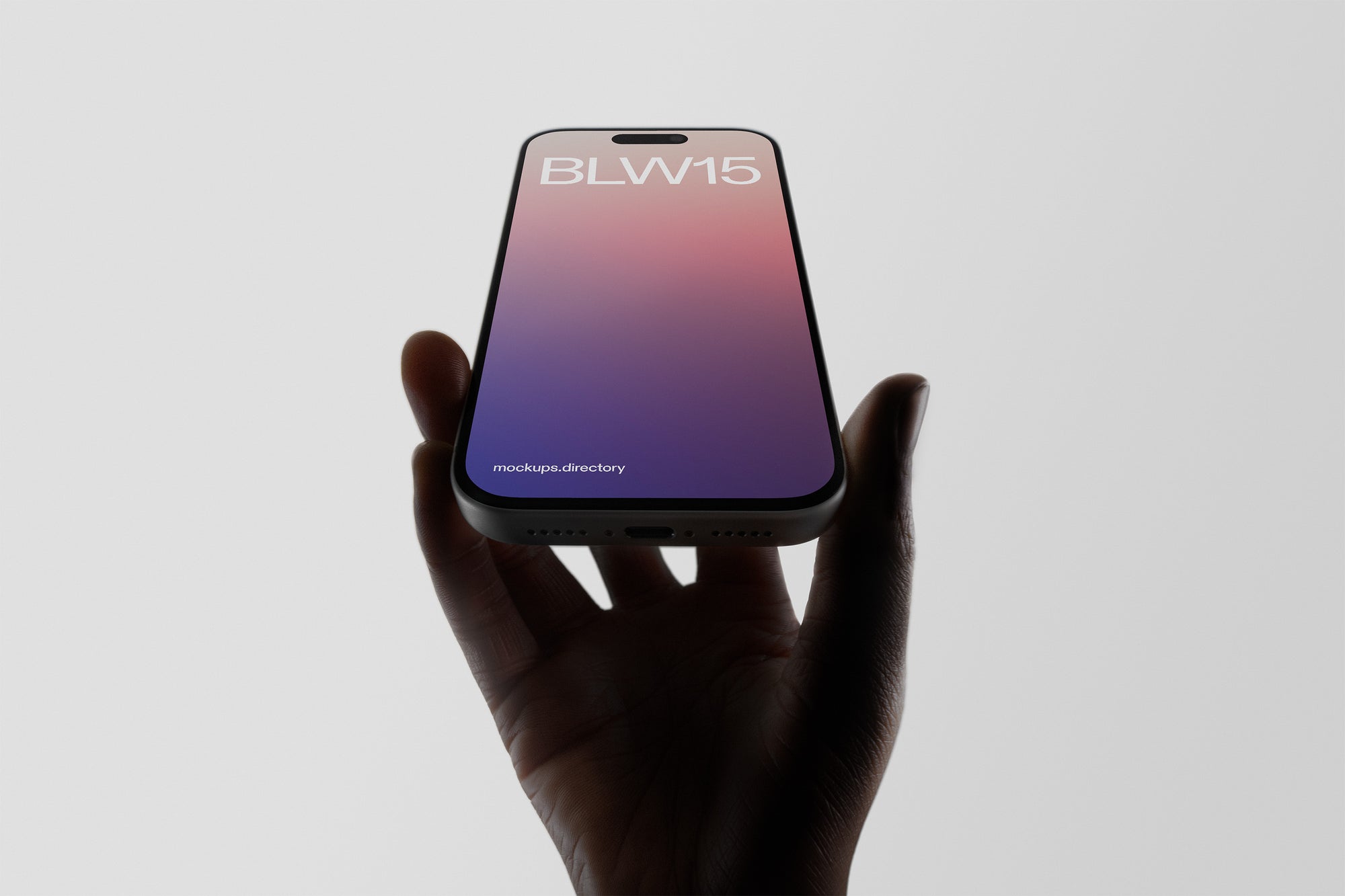 BLW15 — iPhone 17 Pro