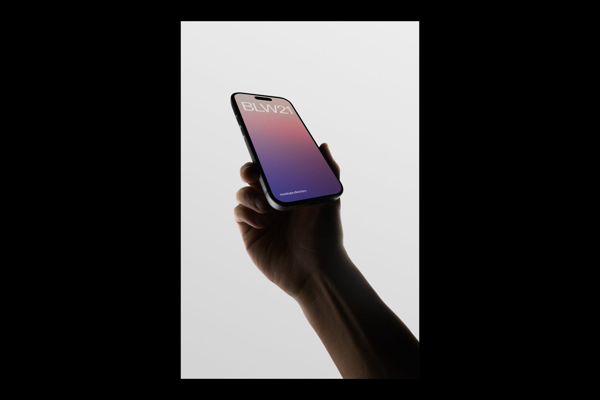 BLW21 — iPhone 17 Pro