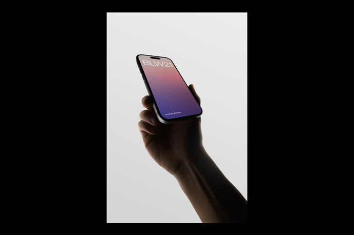 BLW21 — iPhone 16 Pro
