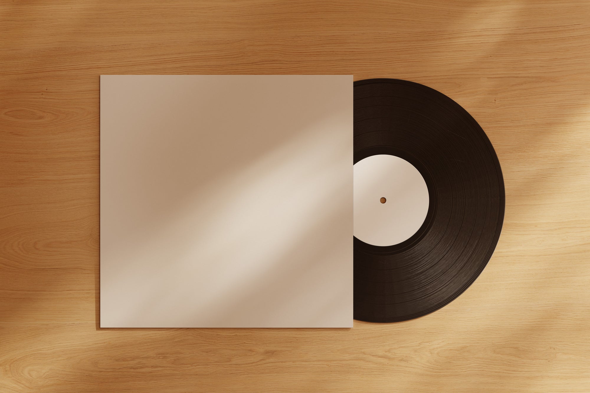 SOM29 — Vinyl