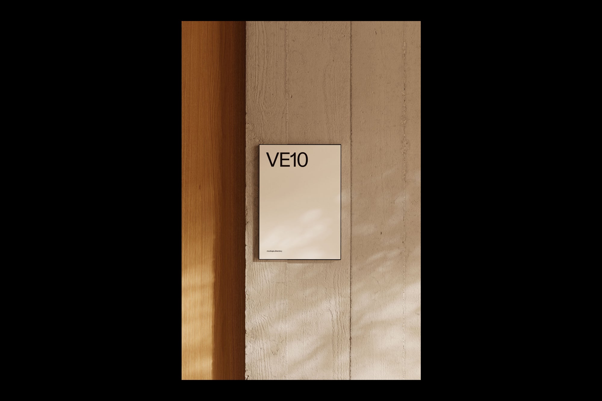 VE10 — Poster