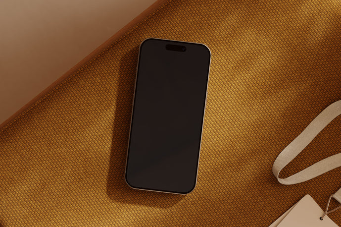 VE17 — iPhone 16 Pro