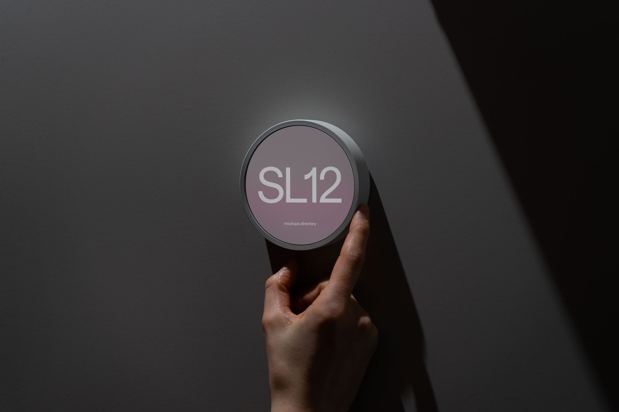 SL12 — Wall Interface