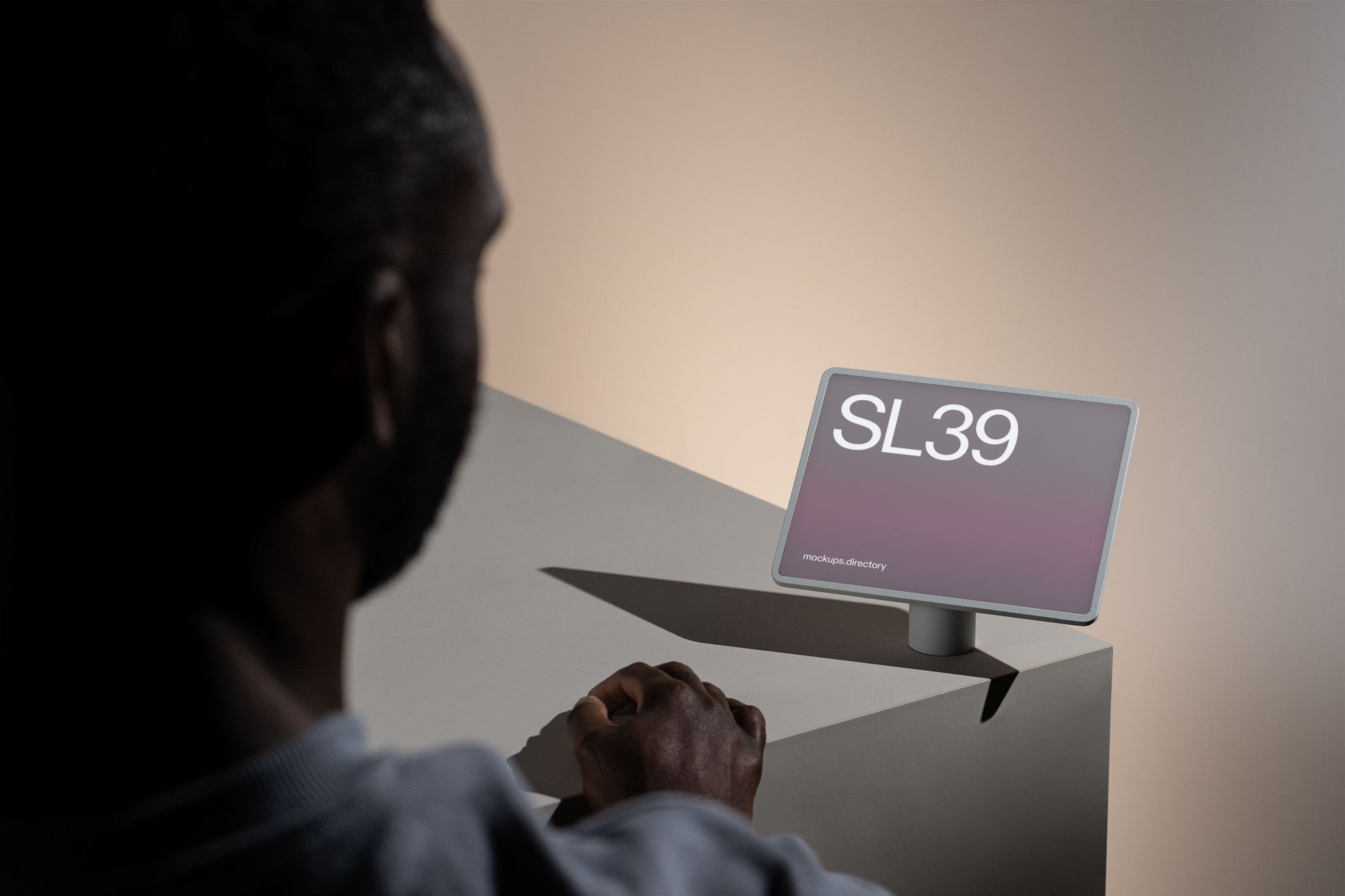 SL39 — Retail Interface